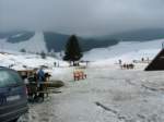 Photo Number 5