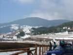 Photo Number 9